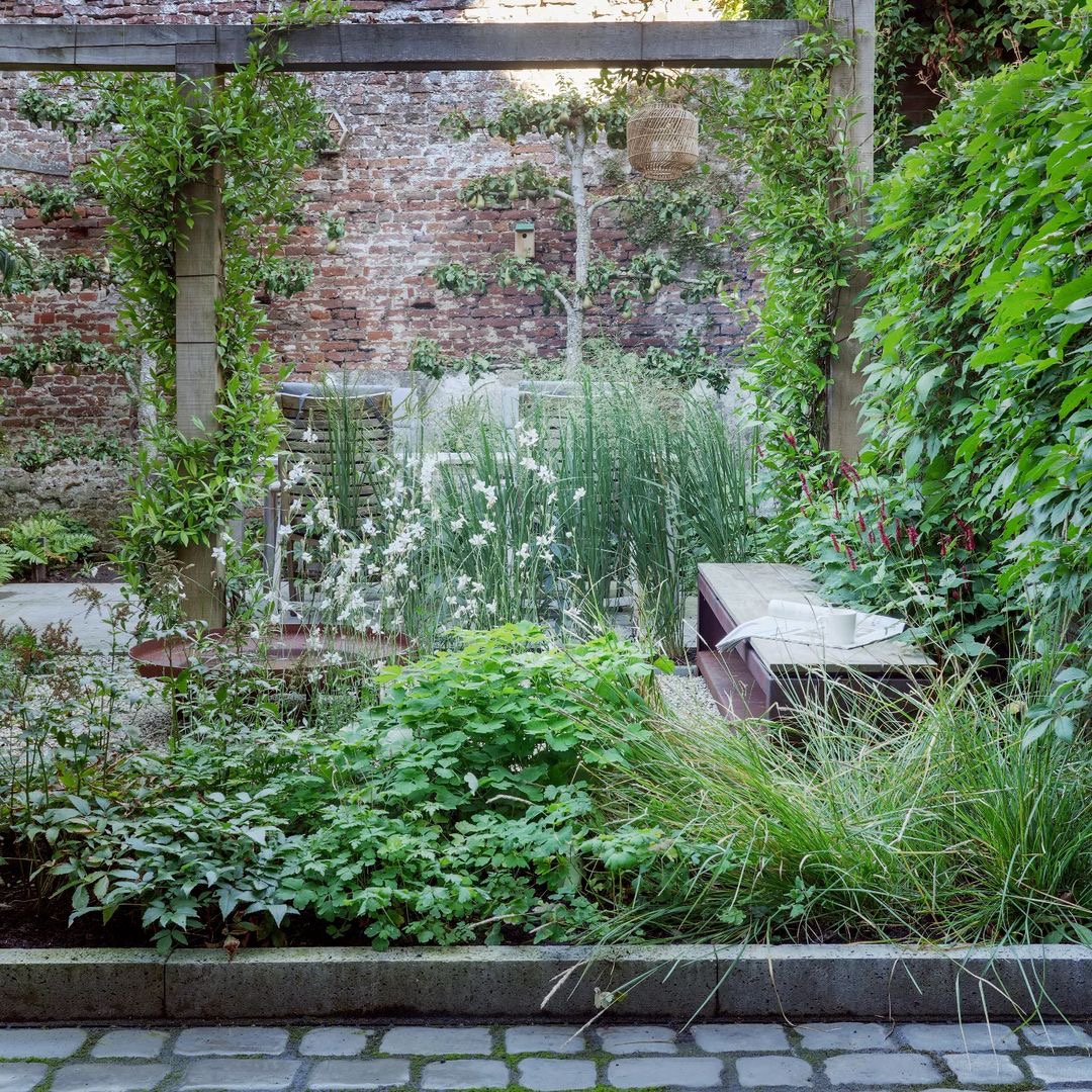 Weelderige binnentuin