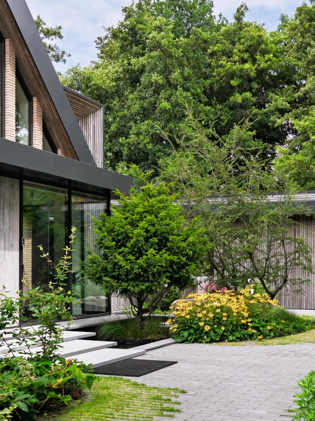 Moderne entree met beplanting