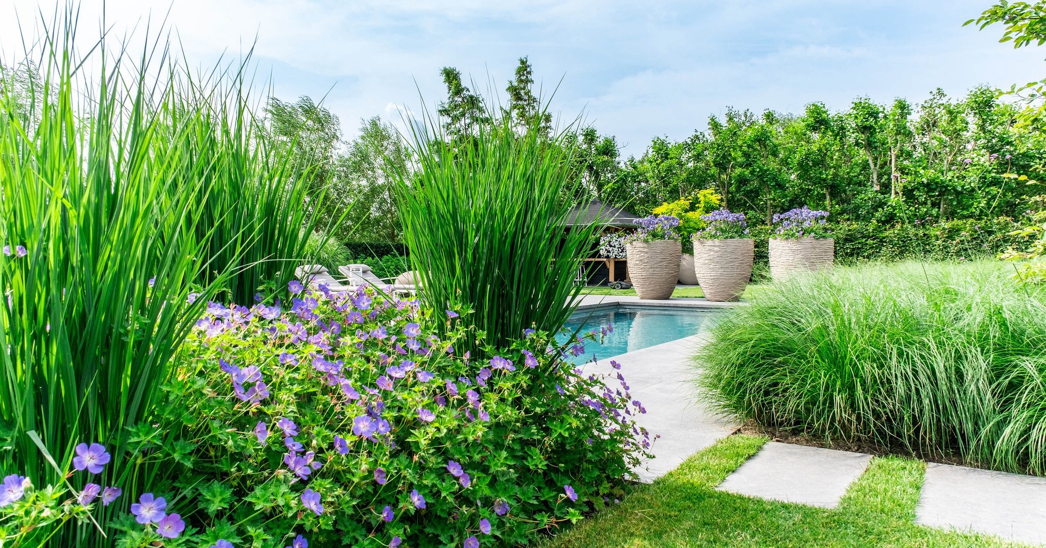 Weelderige tuin met beplanting en zwembad